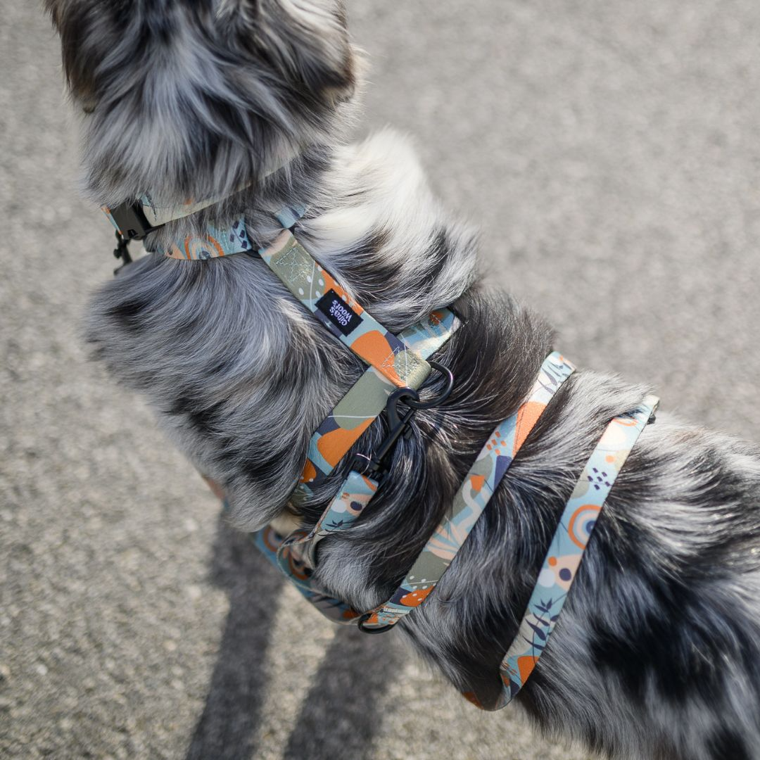 #kolekcija_groovy-vice