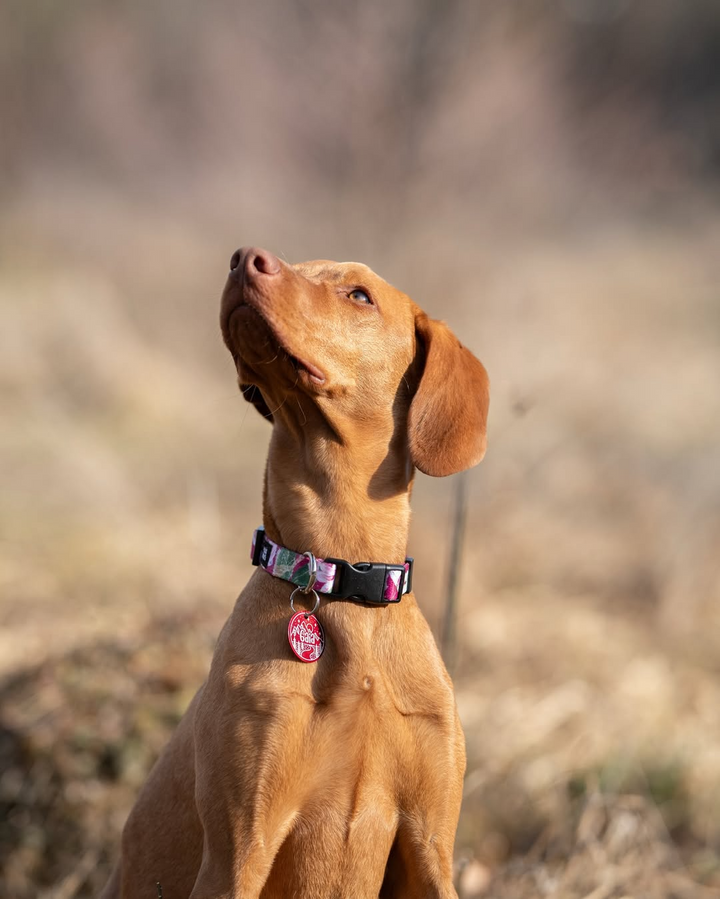 #kolekcija_magnolia-blossom