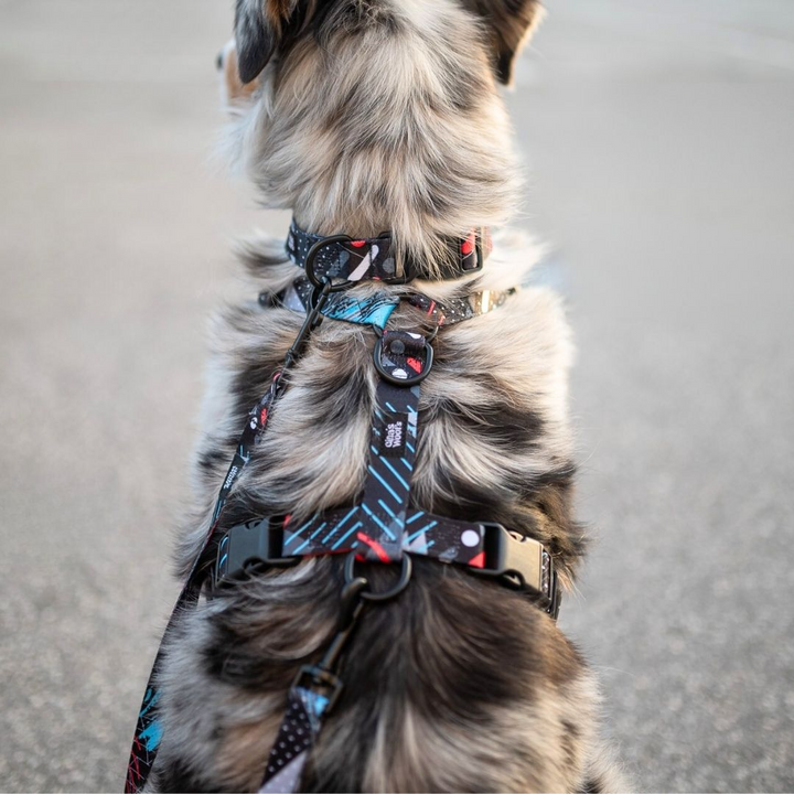 #kolekcija_motion-stride