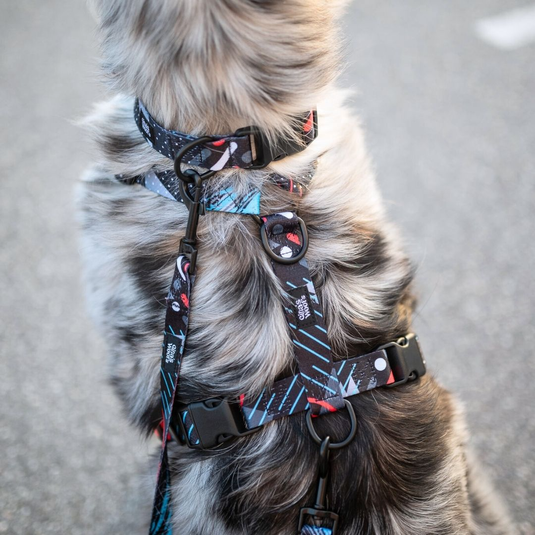 #kolekcija_motion-stride