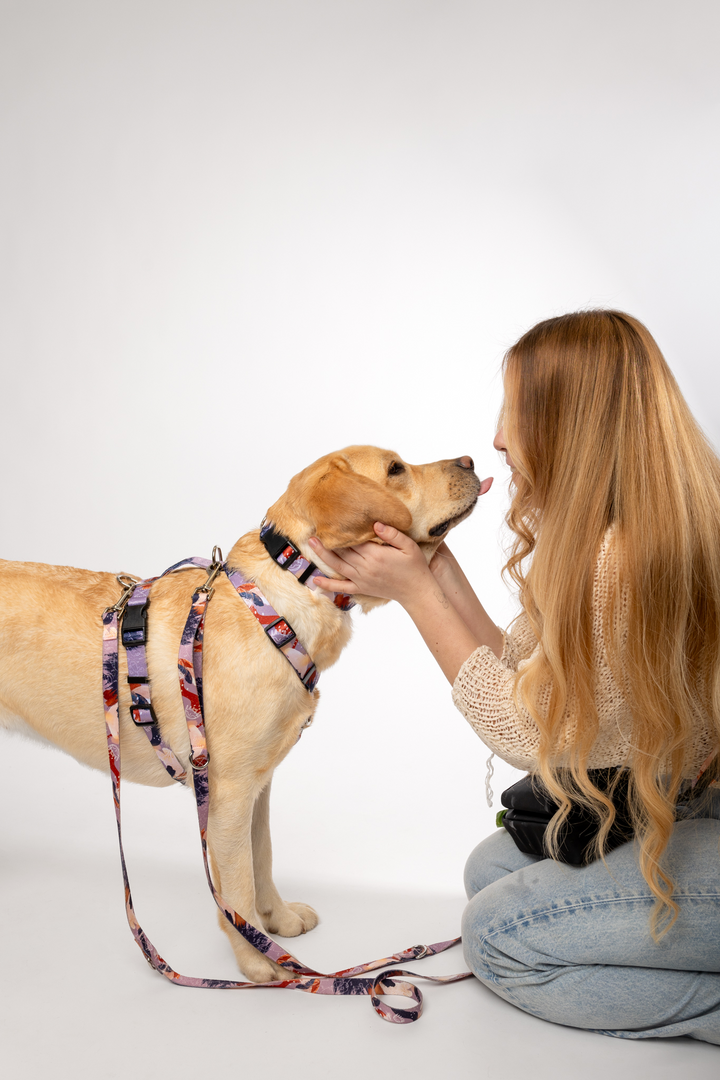 #kolekcija_purple-edge