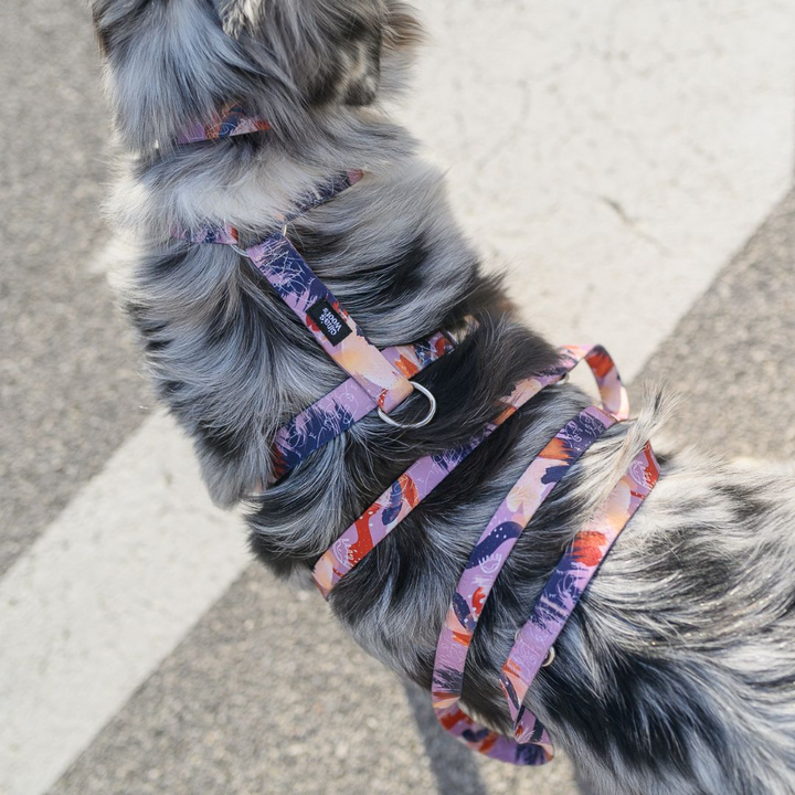 #kolekcija_purple-edge