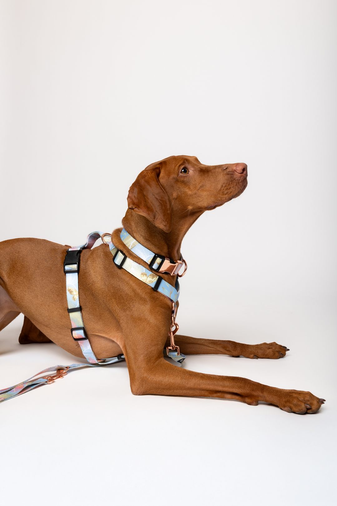 #kolekcija_rosie-blush