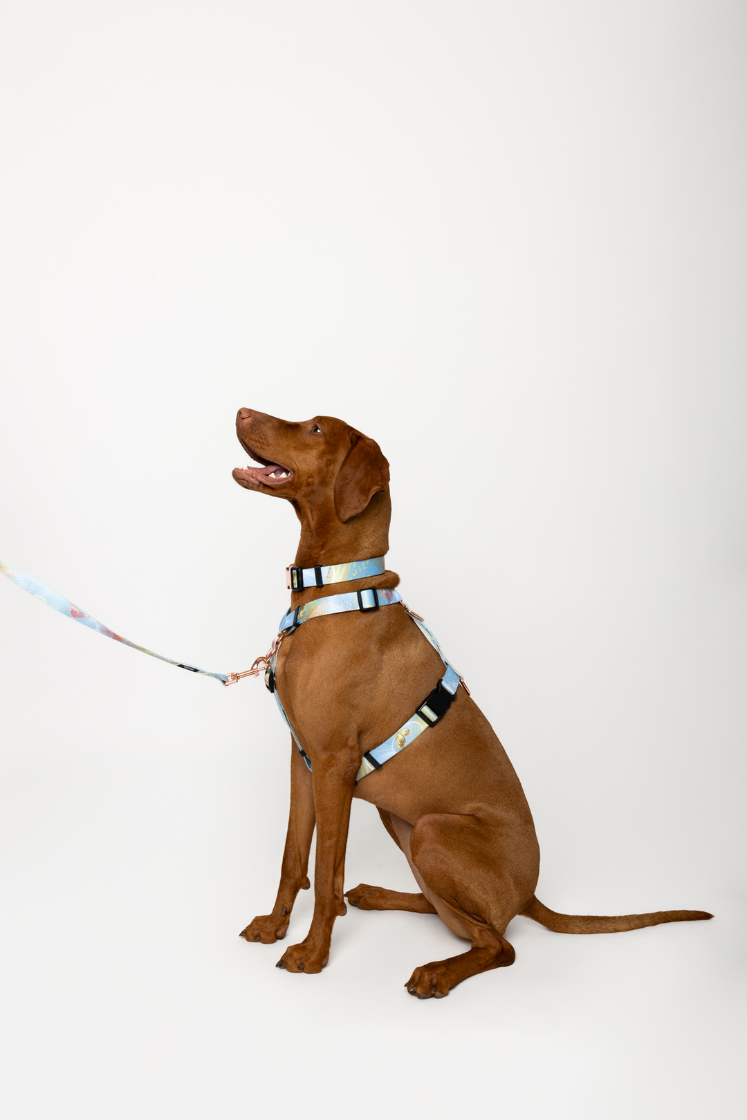 #kolekcija_rosie-blush