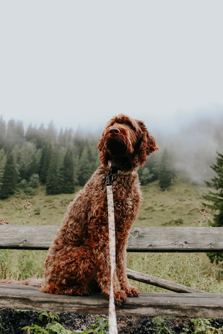 #kolekcija_pastel-jungle