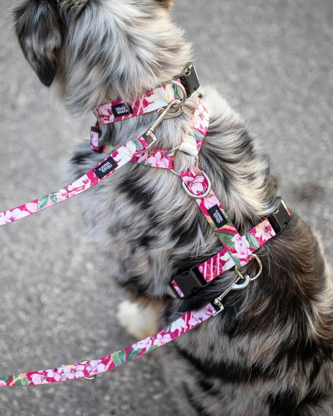 #kolekcija_magnolia-blossom