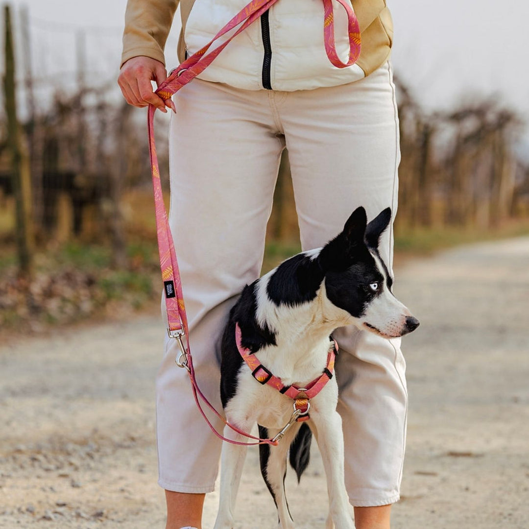 #kolekcija_fern-pink