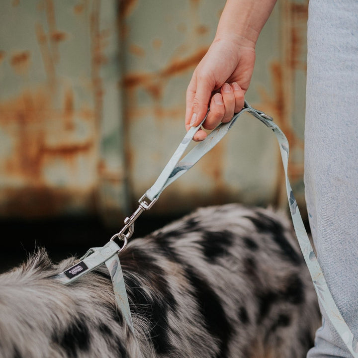 #kolekcija_fever-fetch