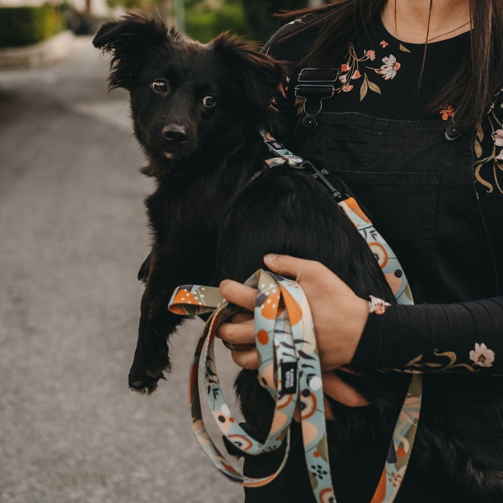 #kolekcija_groovy-vice