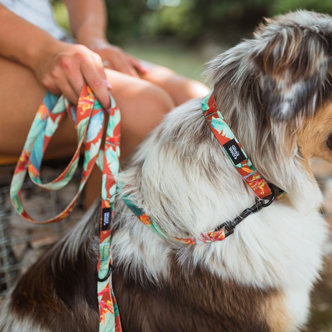 #kolekcija_hoopy-red