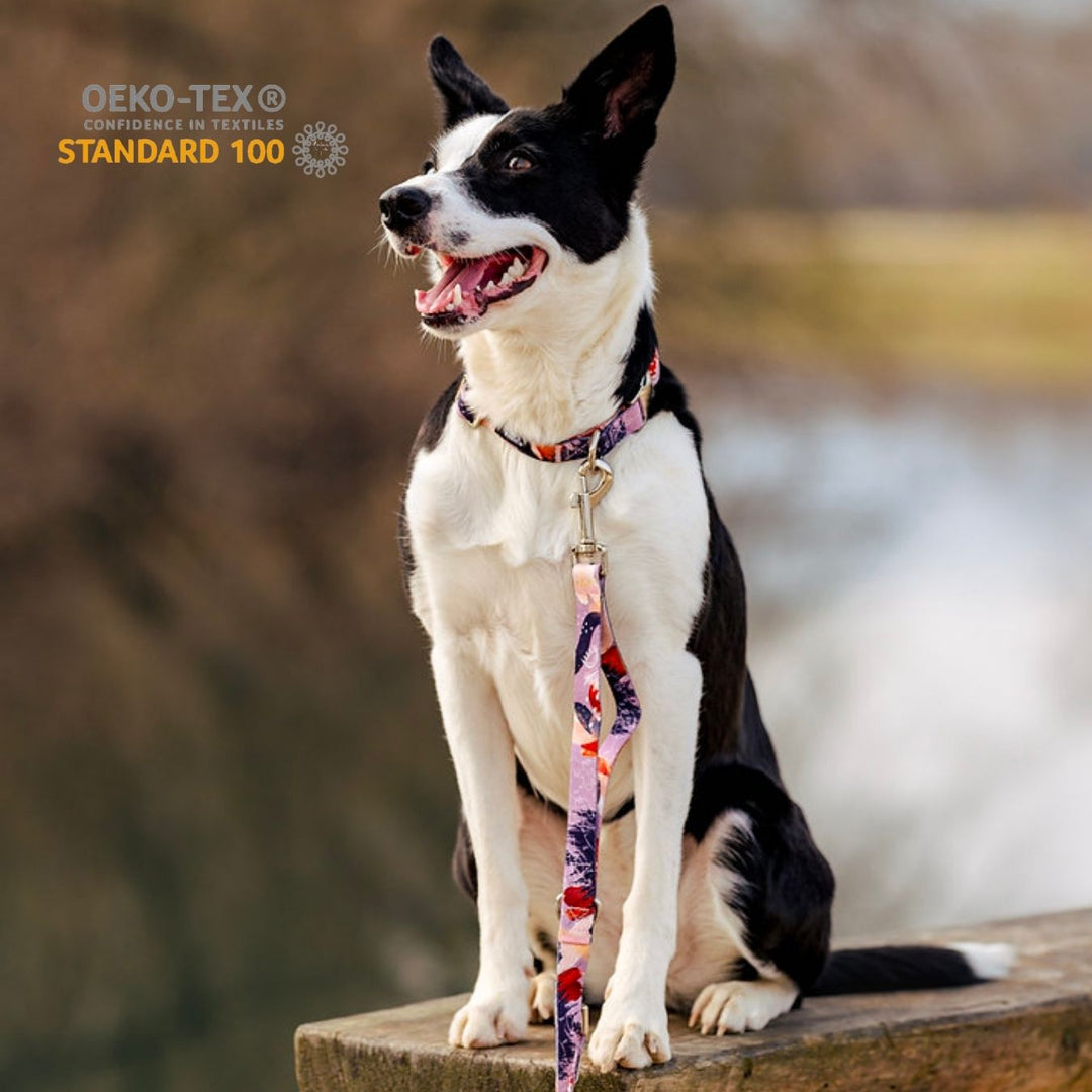 Komplet Wear2 - Purple Edge