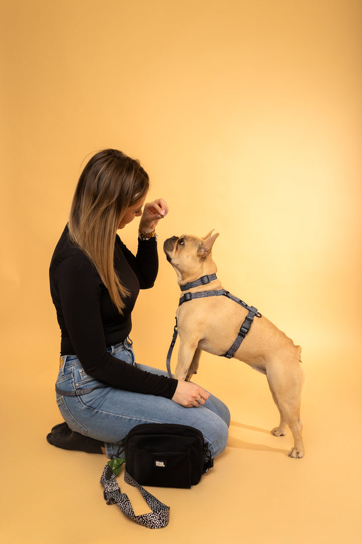 #kolekcija_dots-and-spots