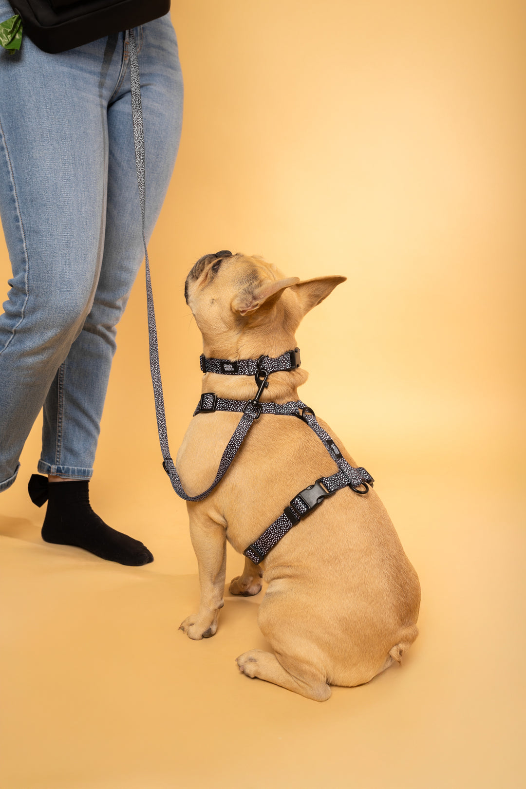 #kolekcija_dots-and-spots