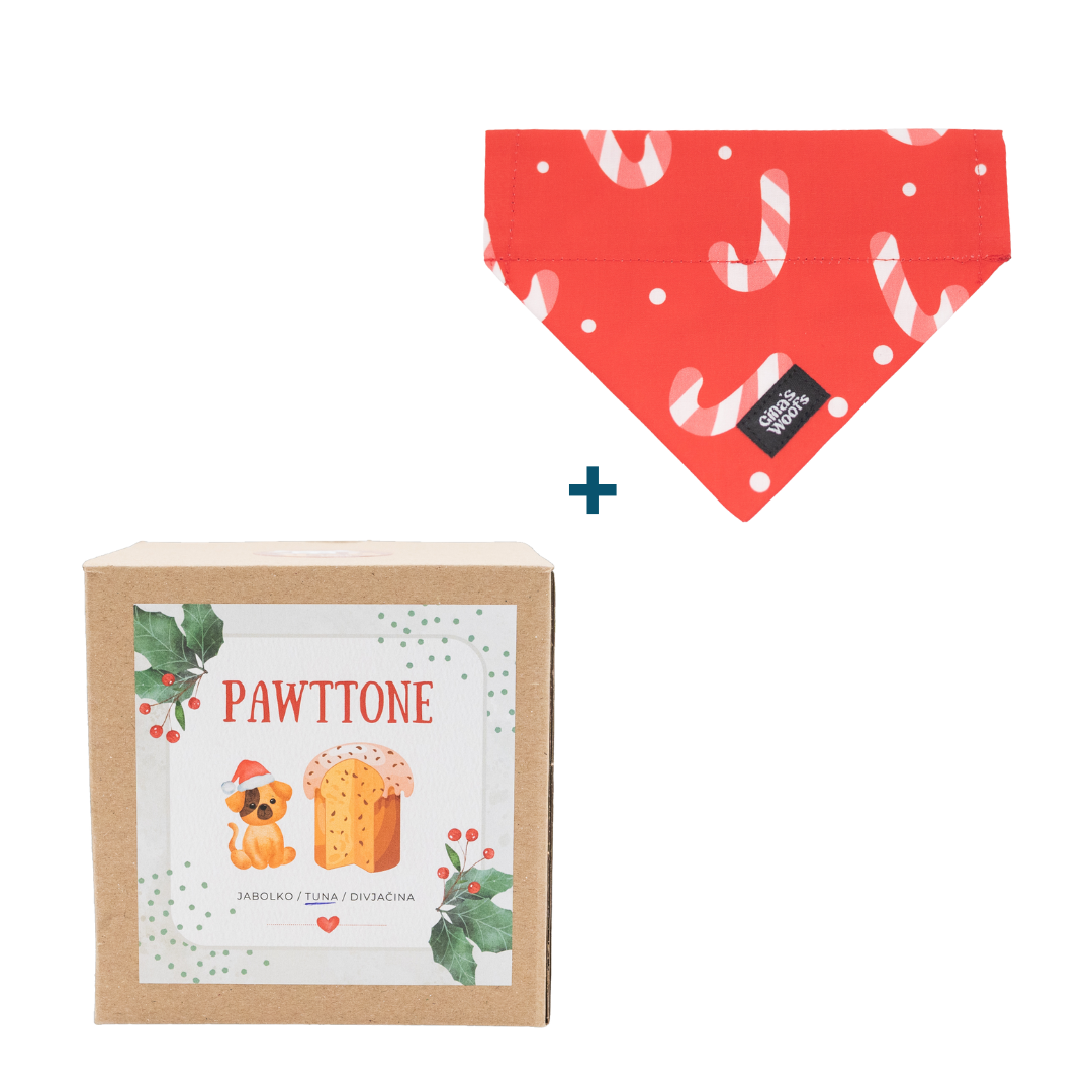 Božična Rutka + Pawttone