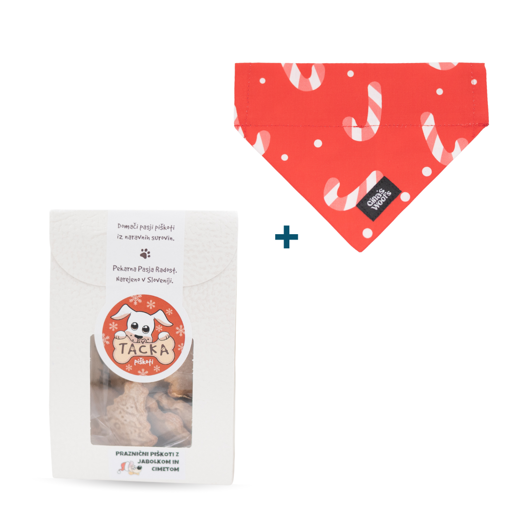 Božična rutka + Praznični piškoti