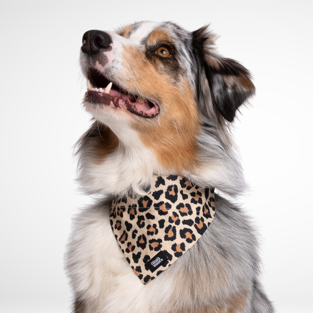 #kolekcija_wild-savanna