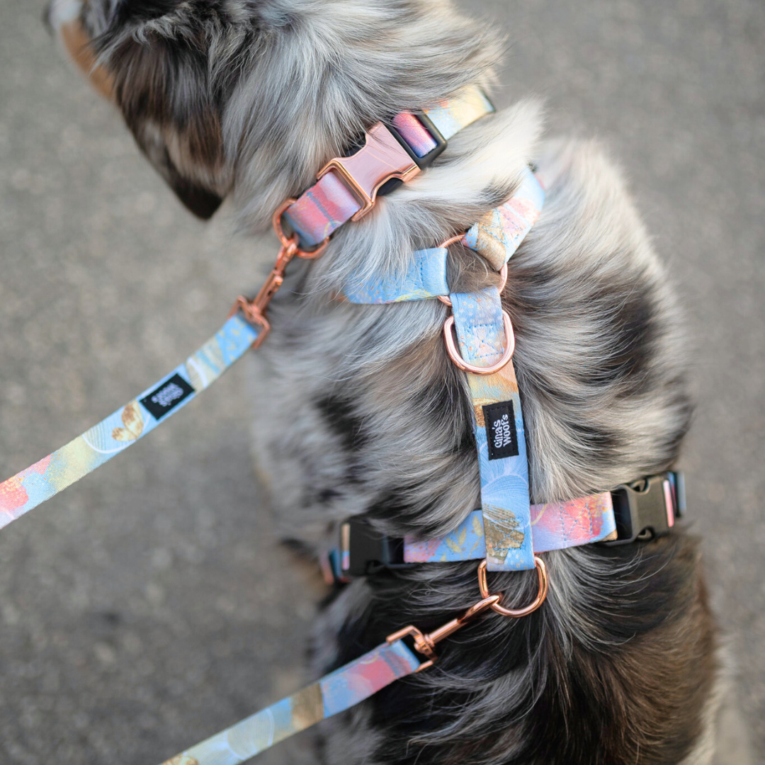 #kolekcija_rosie-blush