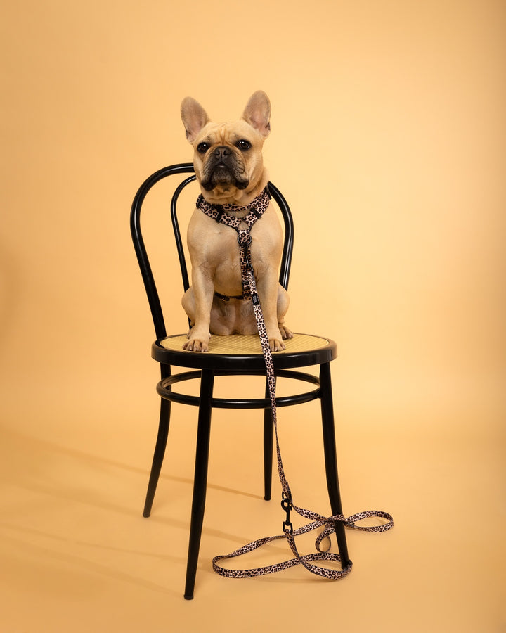 #kolekcija_wild-savanna