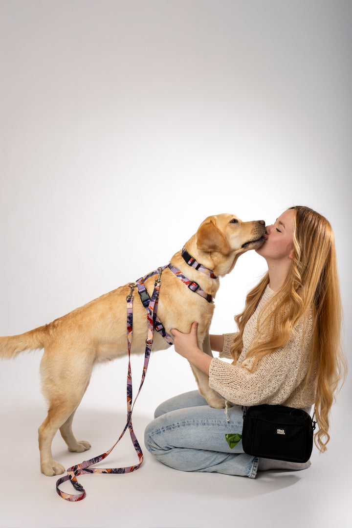 #kolekcija_purple-edge