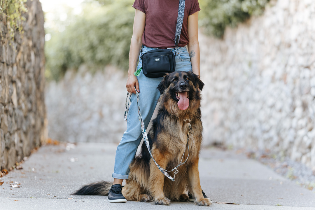 #pas-za-torbico_dots-and-spots