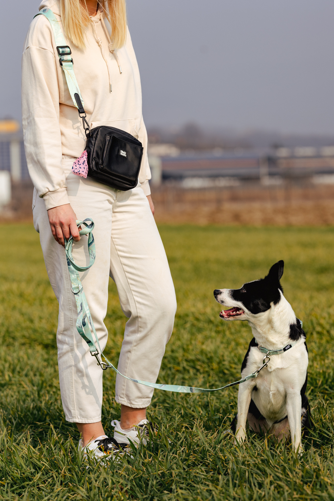 #pas-za-torbico_fever-fetch