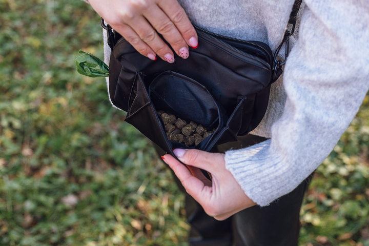 #pas-za-torbico_classic-black