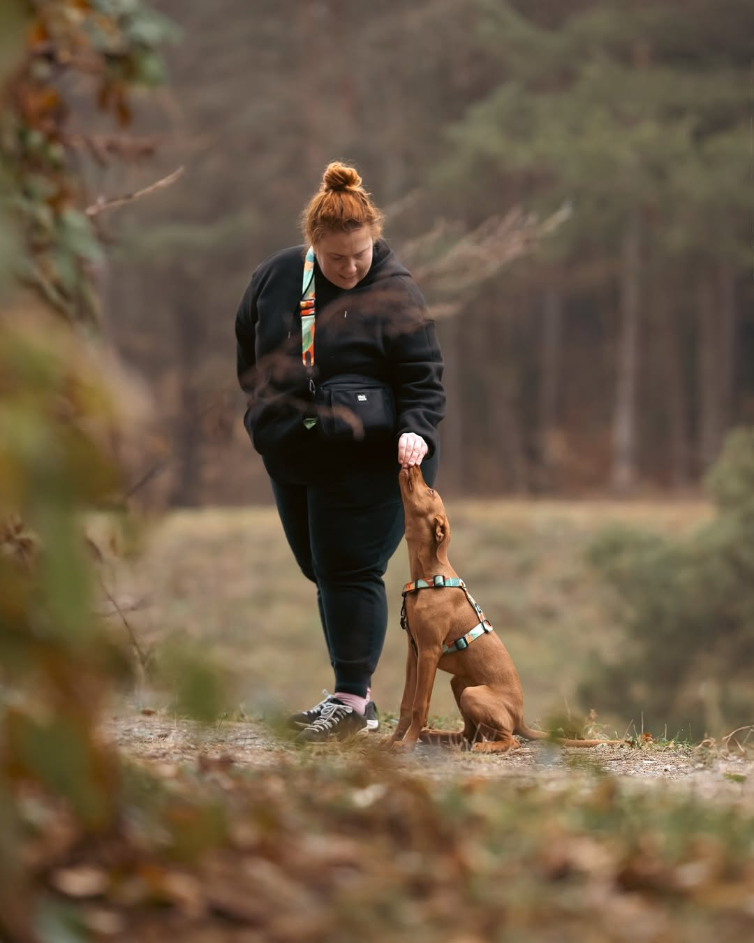 #pas-za-torbico_hoopy-red