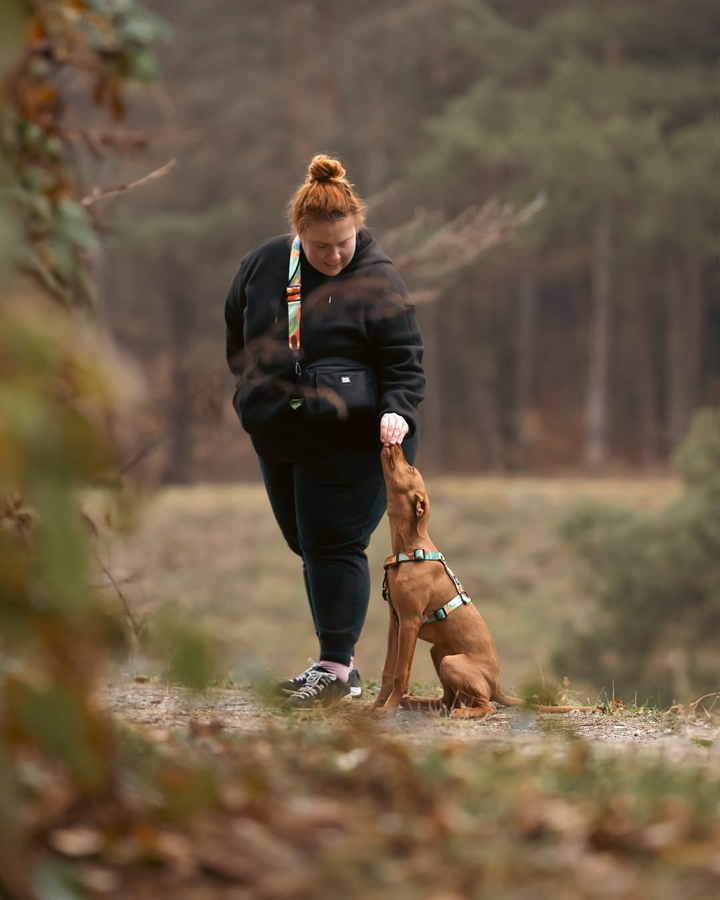 #pas-za-torbico_hoopy-red