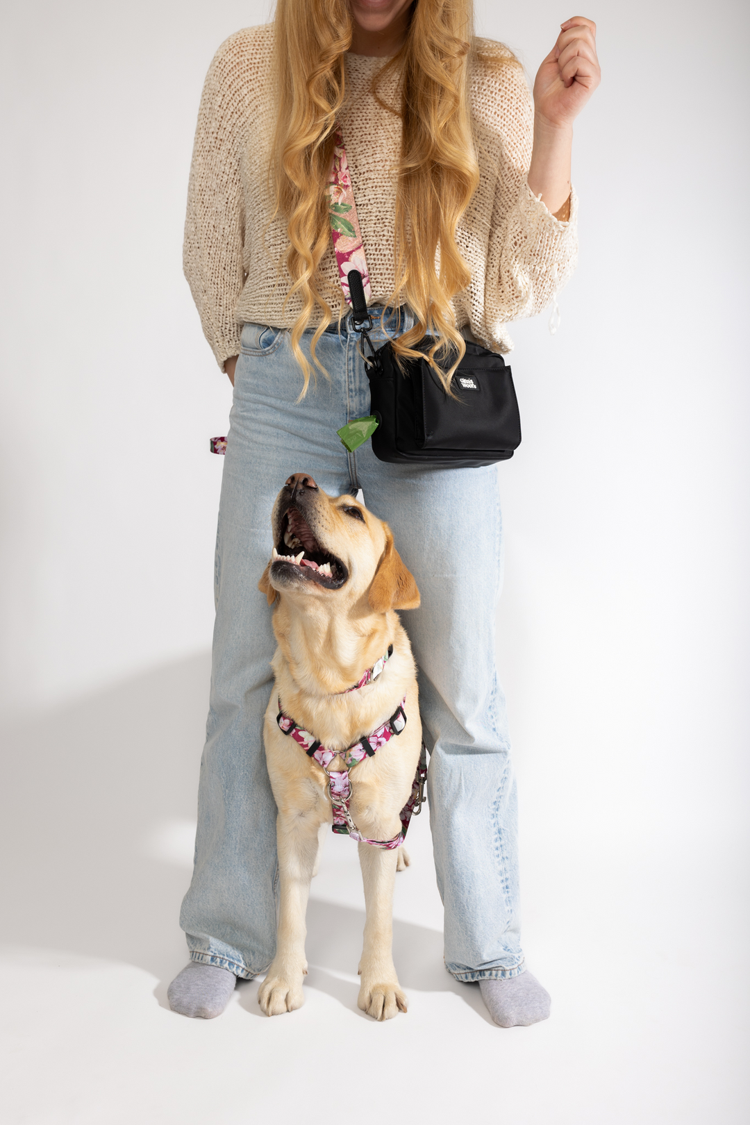 #pas-za-torbico_magnolia-blossom