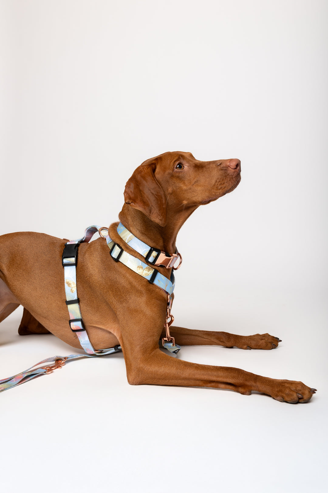 #kolekcija_rosie-blush