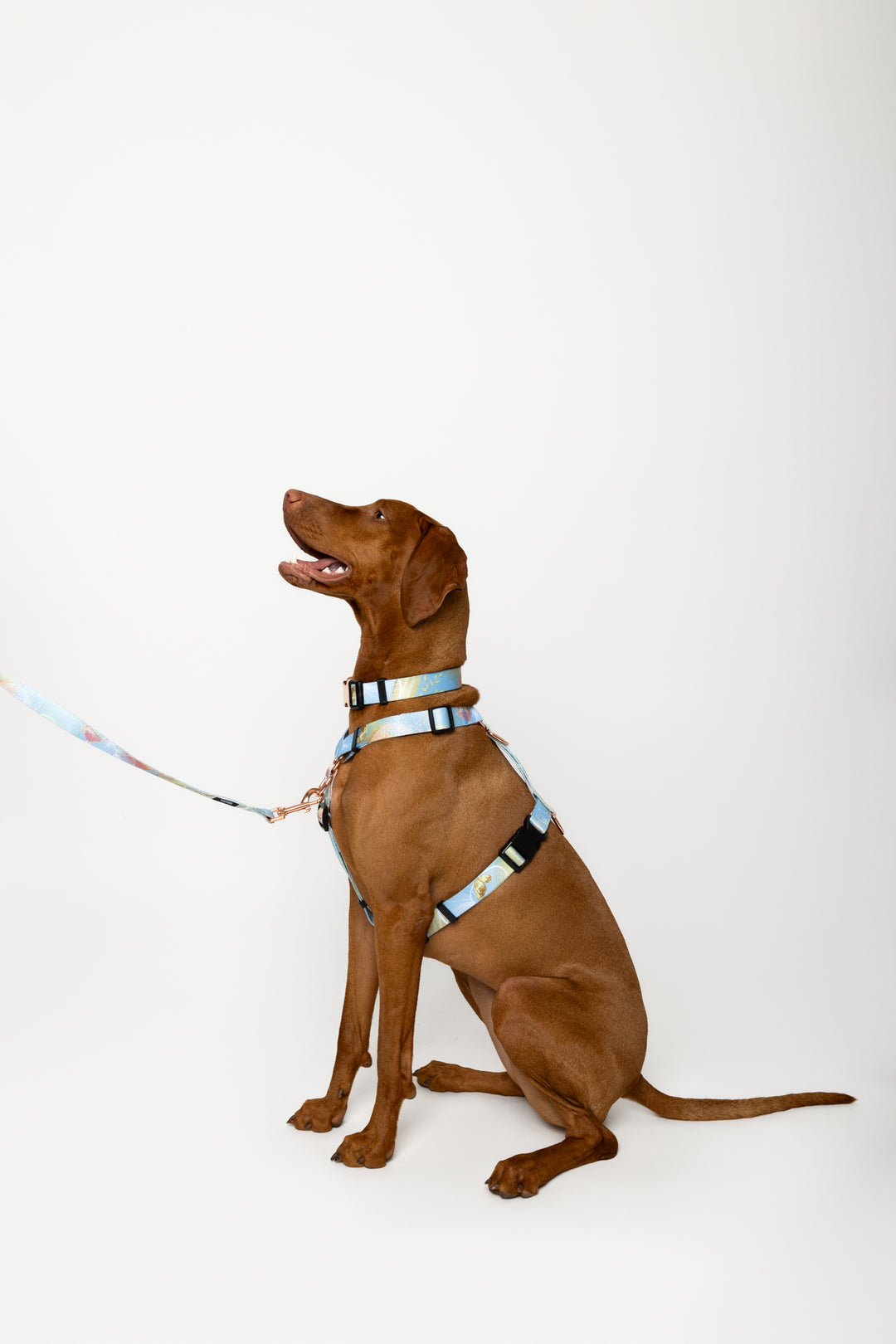 #kolekcija_rosie-blush