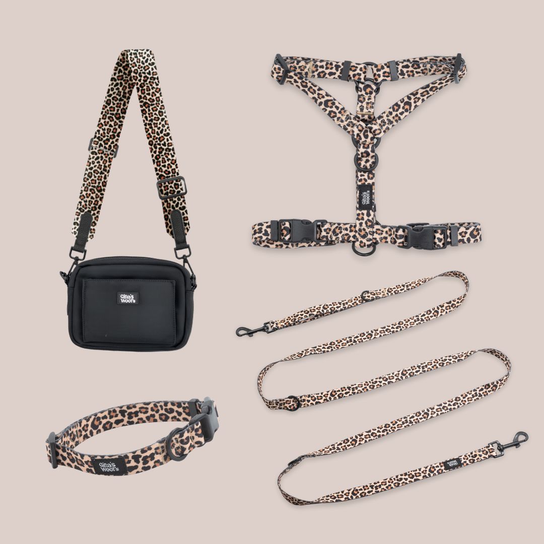 Komplet Wear2 - Wild Savanna