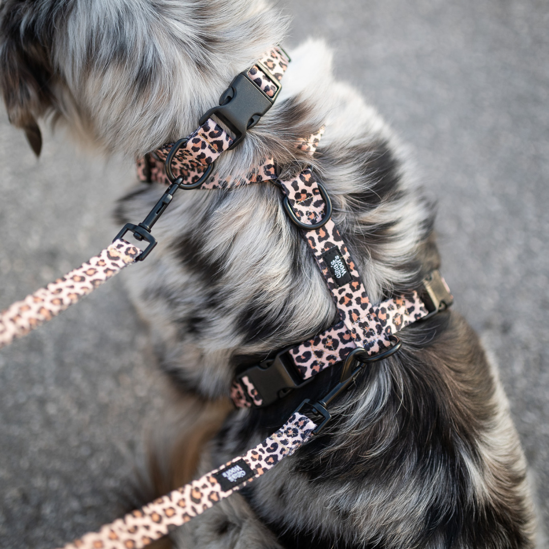 #kolekcija_wild-savanna