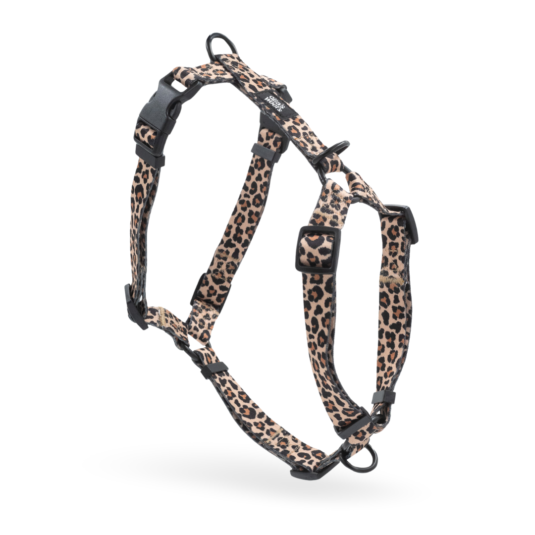 #kolekcija_wild-savanna