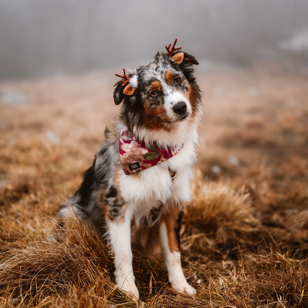 #kolekcija_magnolia-blossom