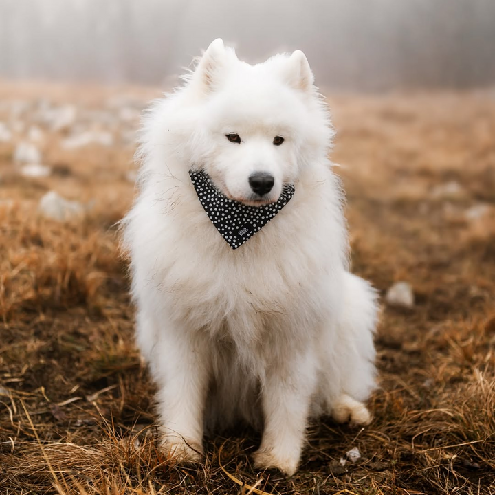 #kolekcija_dots-and-spots