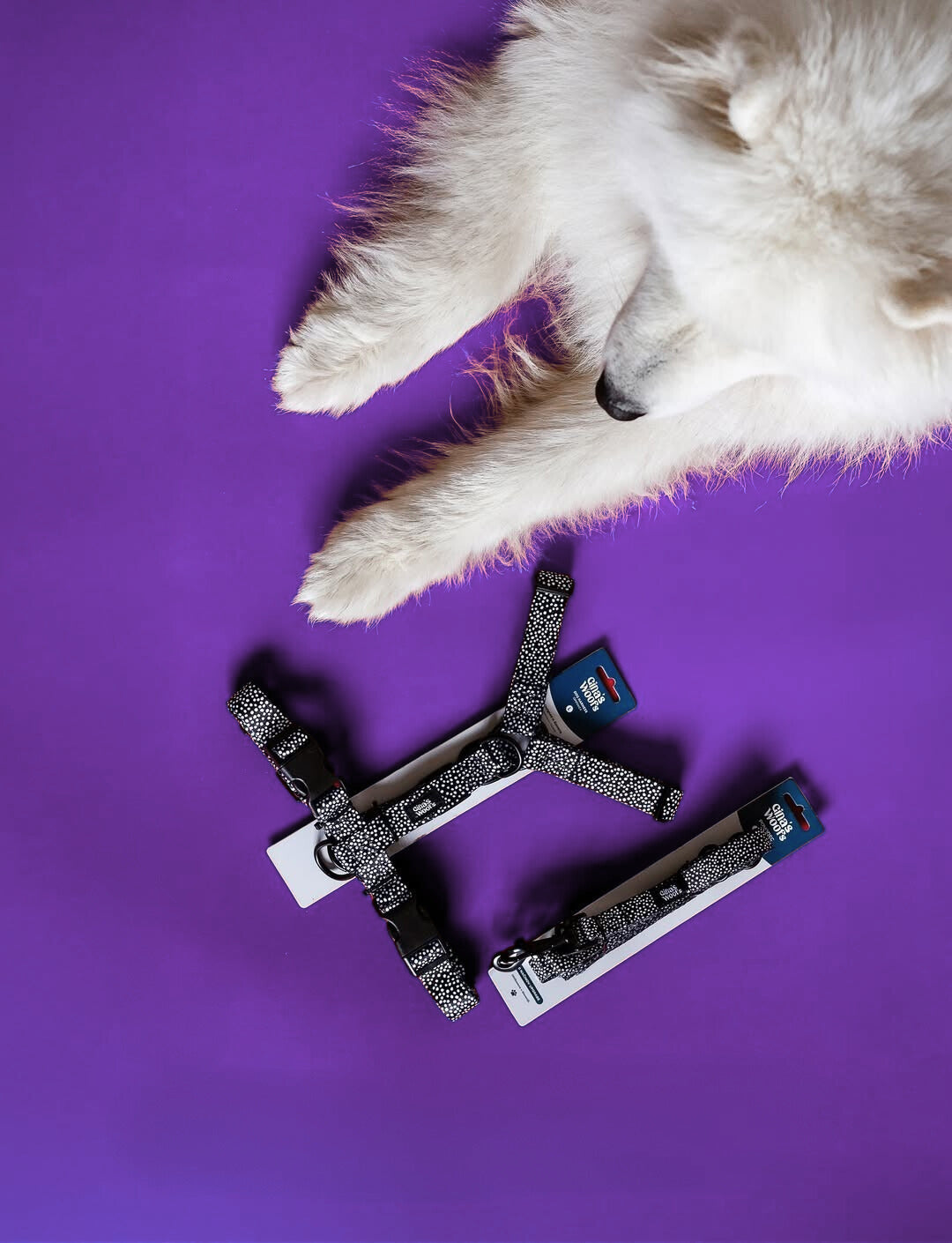 #kolekcija_dots-and-spots