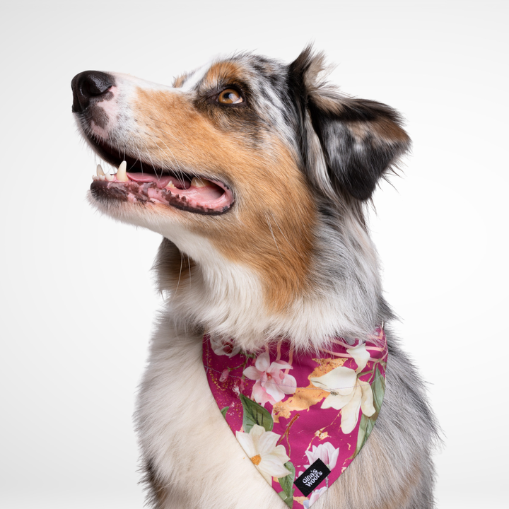 #kolekcija_magnolia-blossom