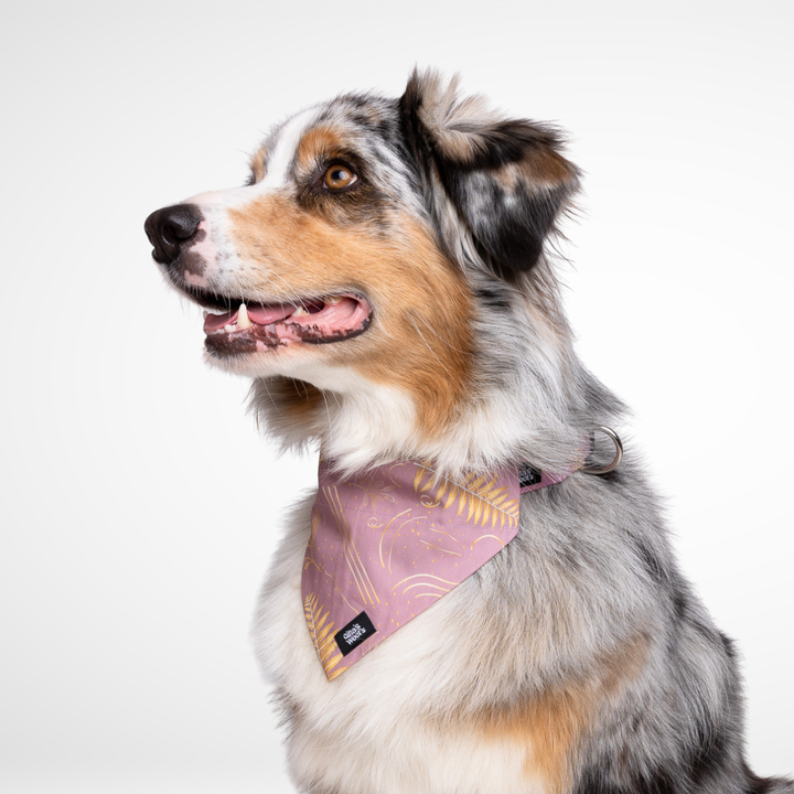 #kolekcija_fern-pink