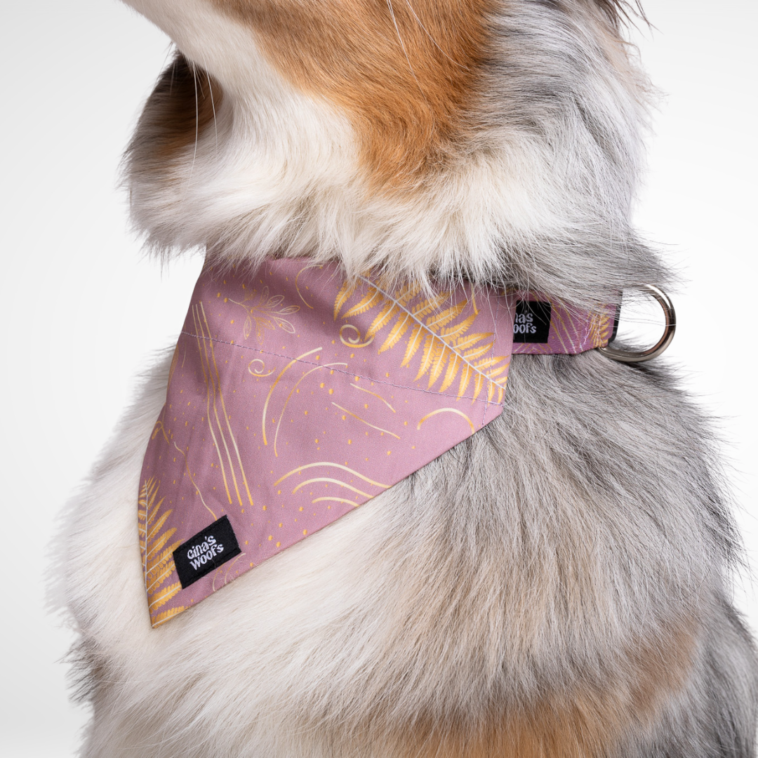 #kolekcija_fern-pink