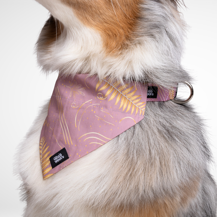 #kolekcija_fern-pink