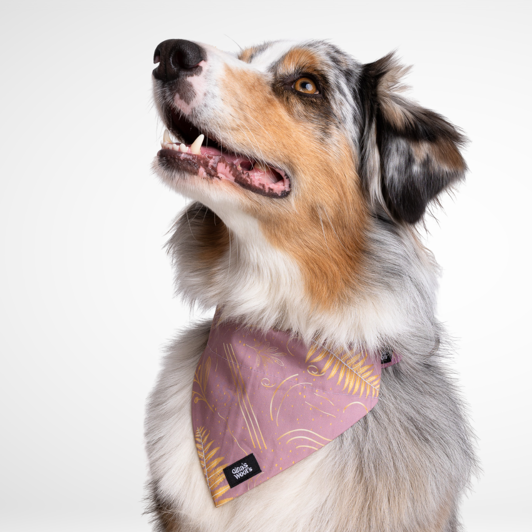 #kolekcija_fern-pink