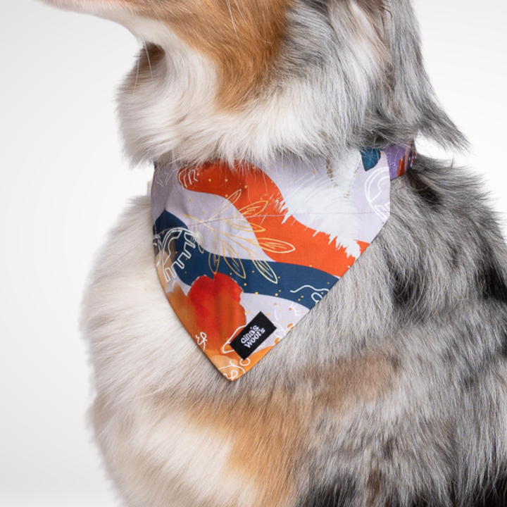 #kolekcija_purple-edge