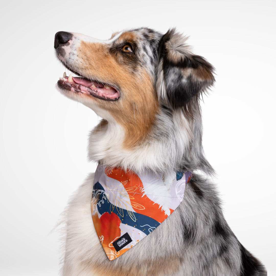 #kolekcija_purple-edge