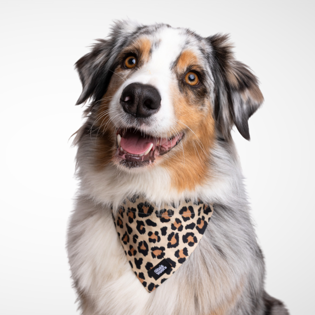 #kolekcija_wild-savanna