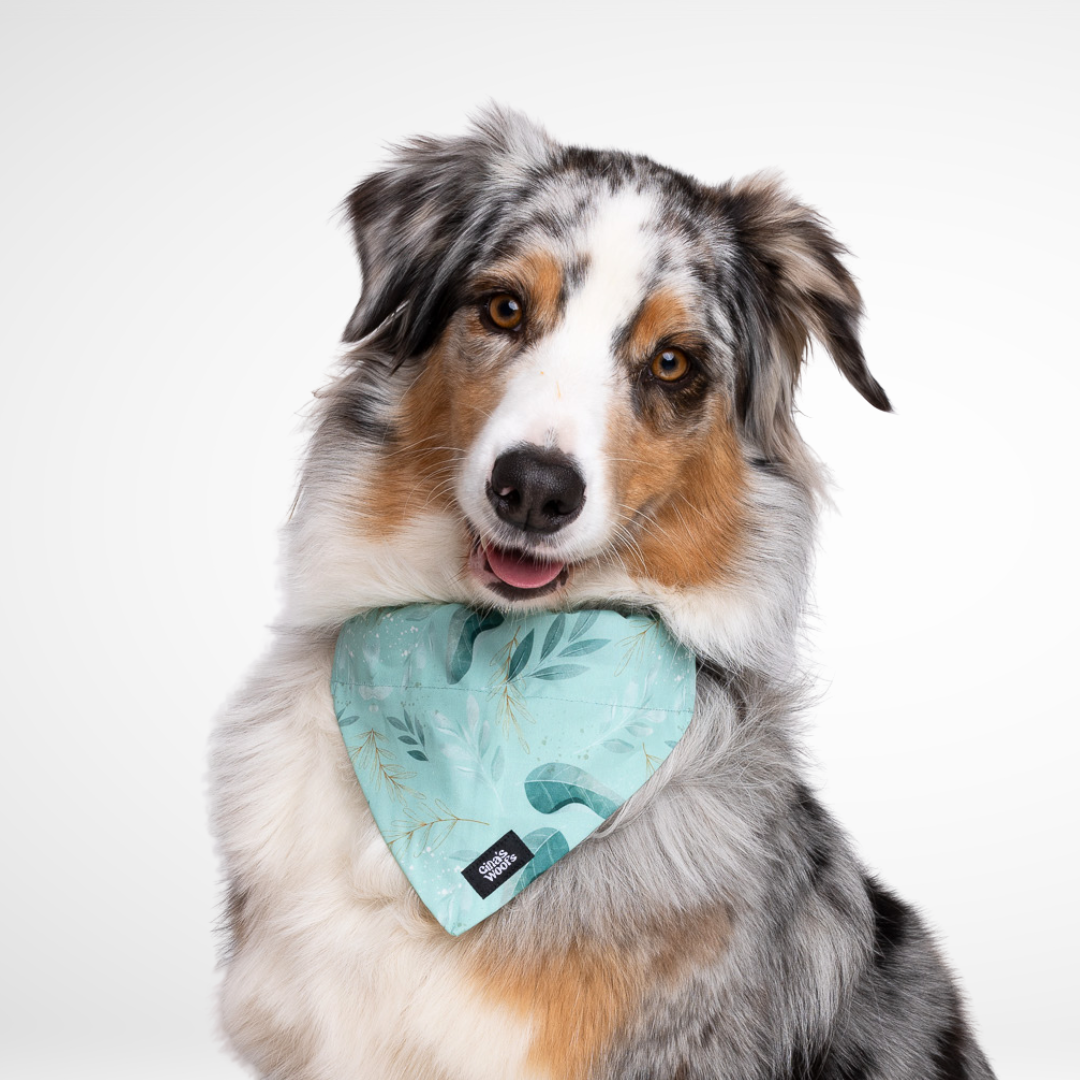 #kolekcija_fever-fetch