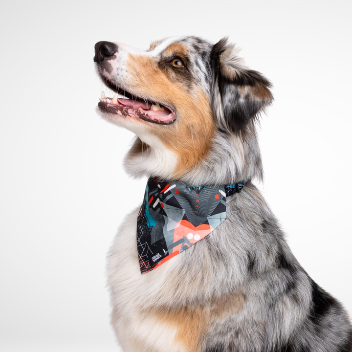 #kolekcija_motion-stride