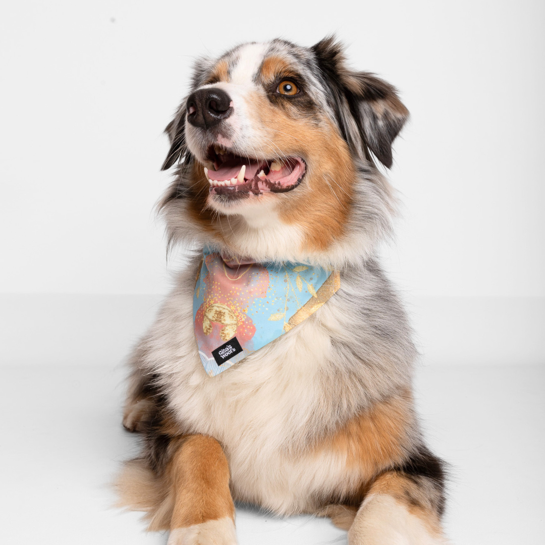 #kolekcija_rosie-blush