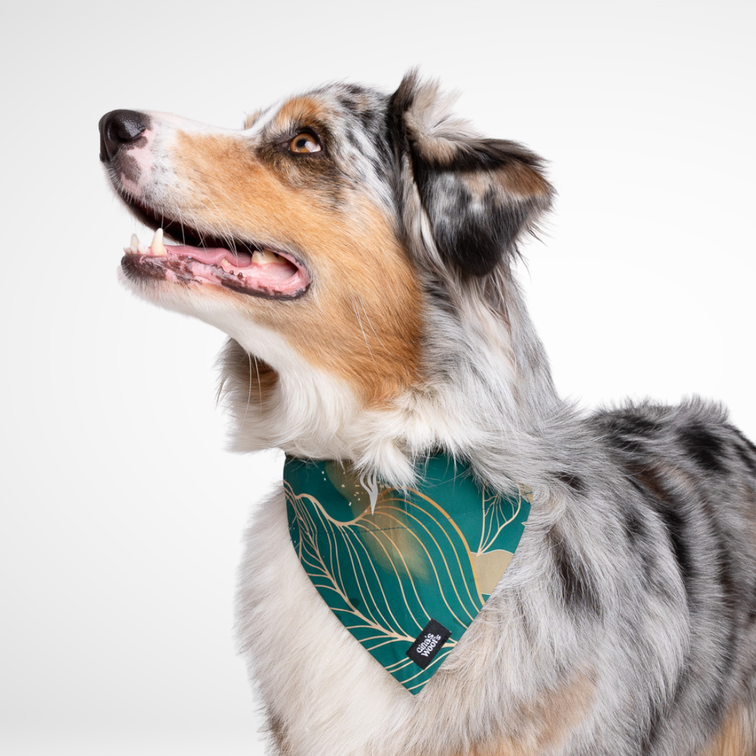 #kolekcija_golden-woods