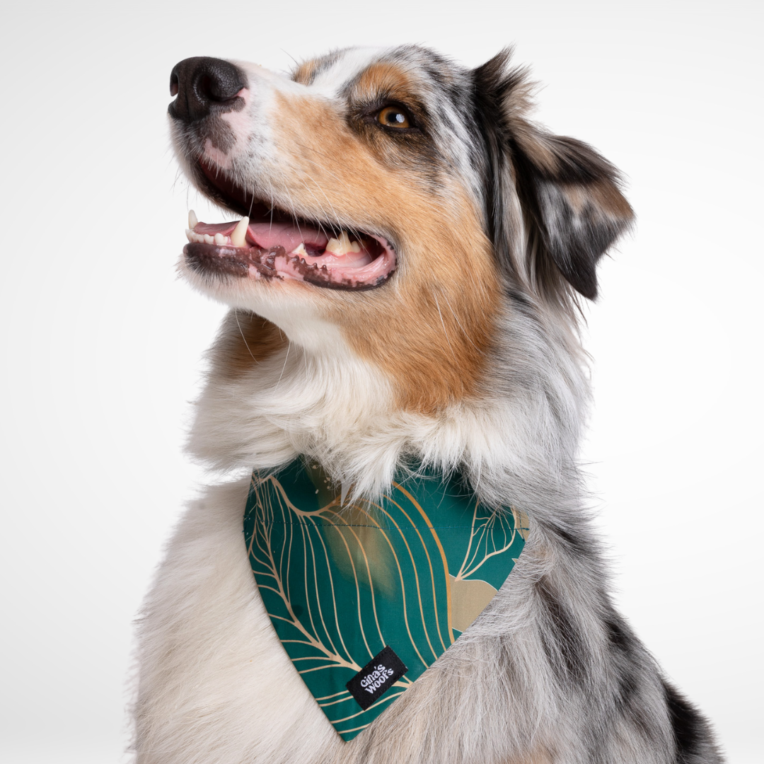 #kolekcija_golden-woods